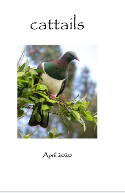 94720228_3122008867844174_3738104866015281152_o