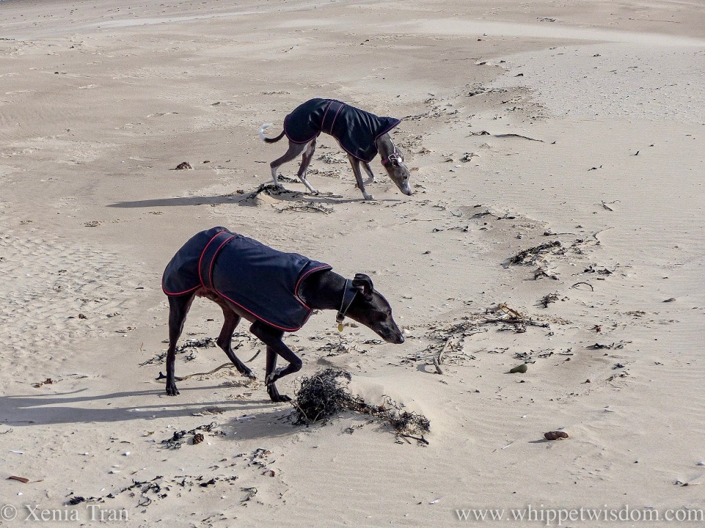 Tanka: Touching the&nbsp;Season