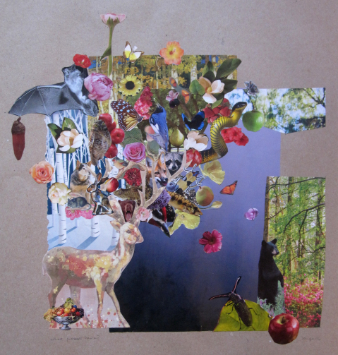 what grows here collage s