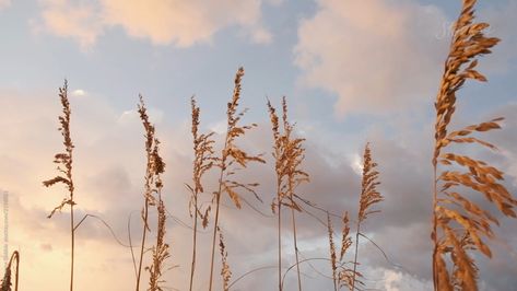 86b1a92025823537fad4429e26b1ea5b