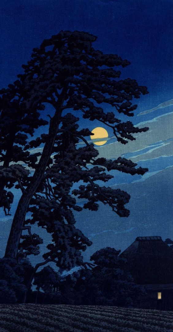 a96b085805534e59c5c602cd9df4b88b