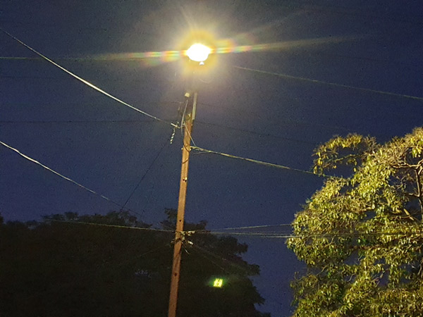 a-brushtail-possum-for-web