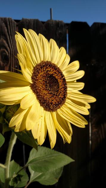 IMG_20190820_085213347