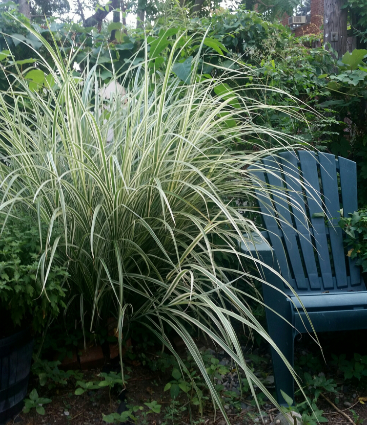 wp-image-721353293jpg