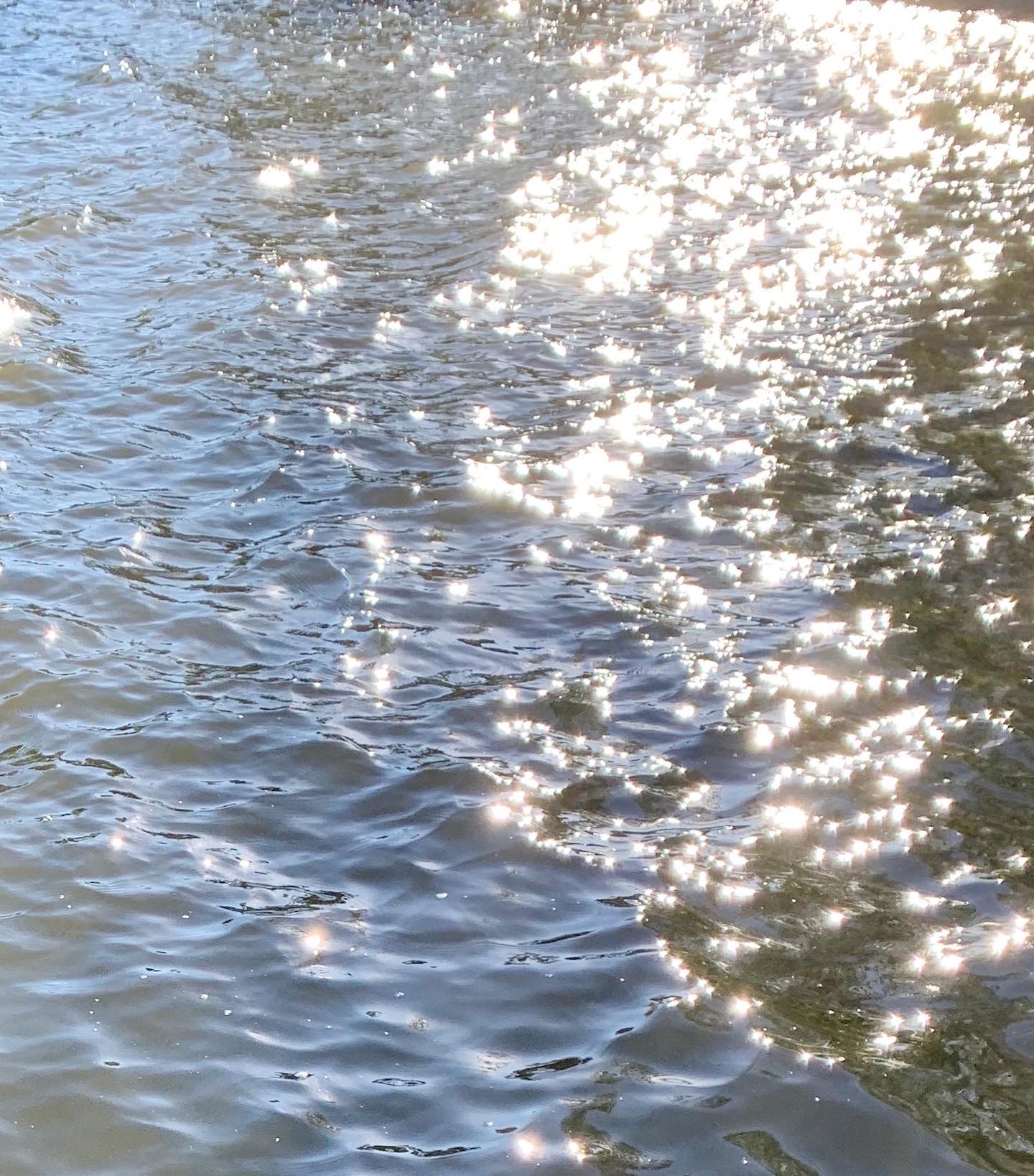 F9A07115-F532-4266-AF85-B5C8005CA8AC