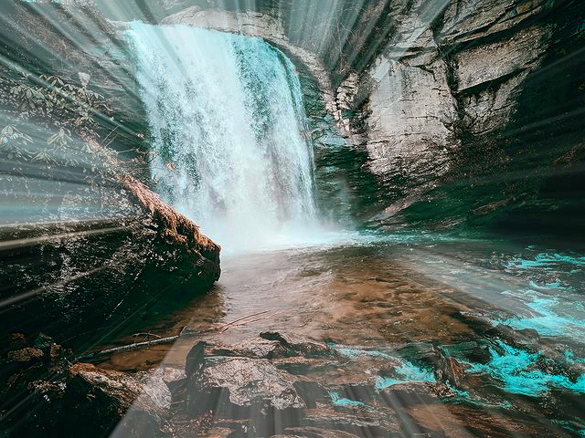 Bliss in the&nbsp;morn