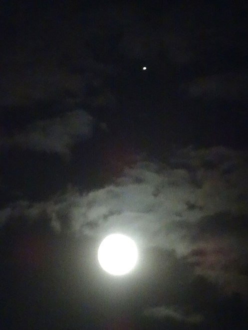 august moon jupiter s