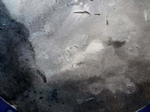 corvid nights close up a