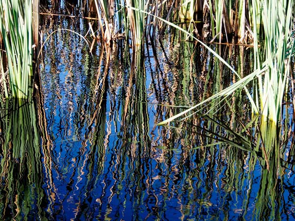 shallow-tarn-for-web