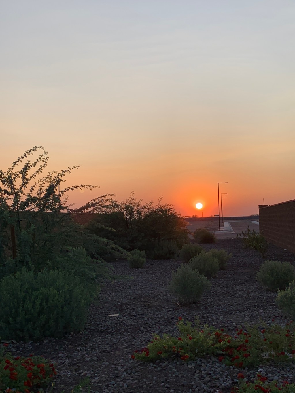 The Connection, #Haibun