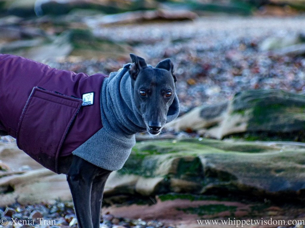 Haiku: Clams and&nbsp;Mussels