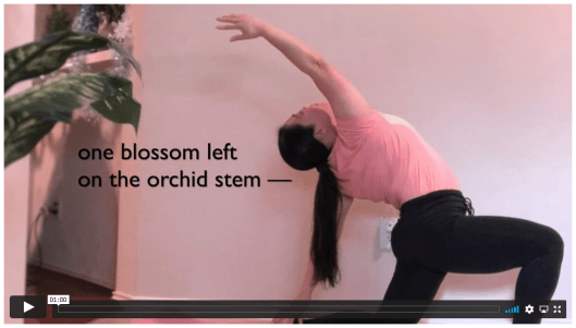 "One Blossom Left", a video poem collaboration.