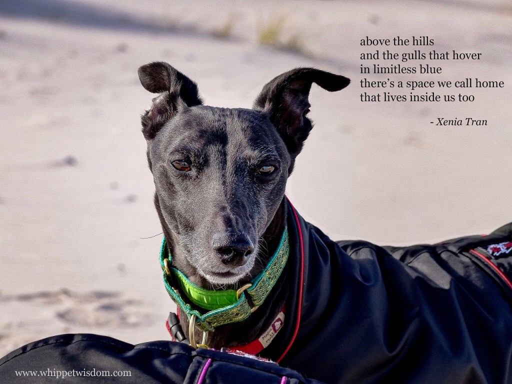 Tanka: Soaring Spirit