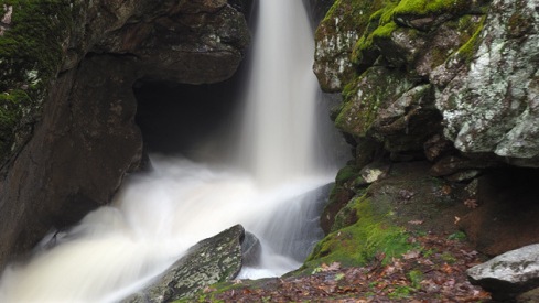 Love Acknowledgements #haibun