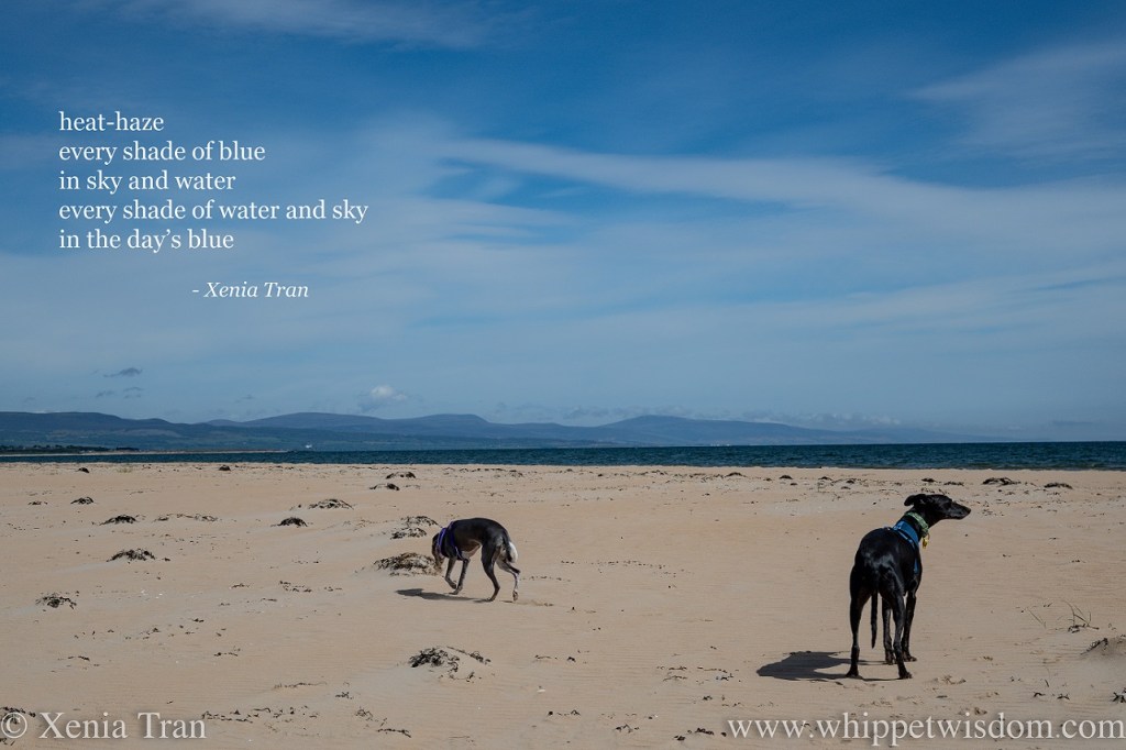 Tanka: Two Ways of&nbsp;Seeing