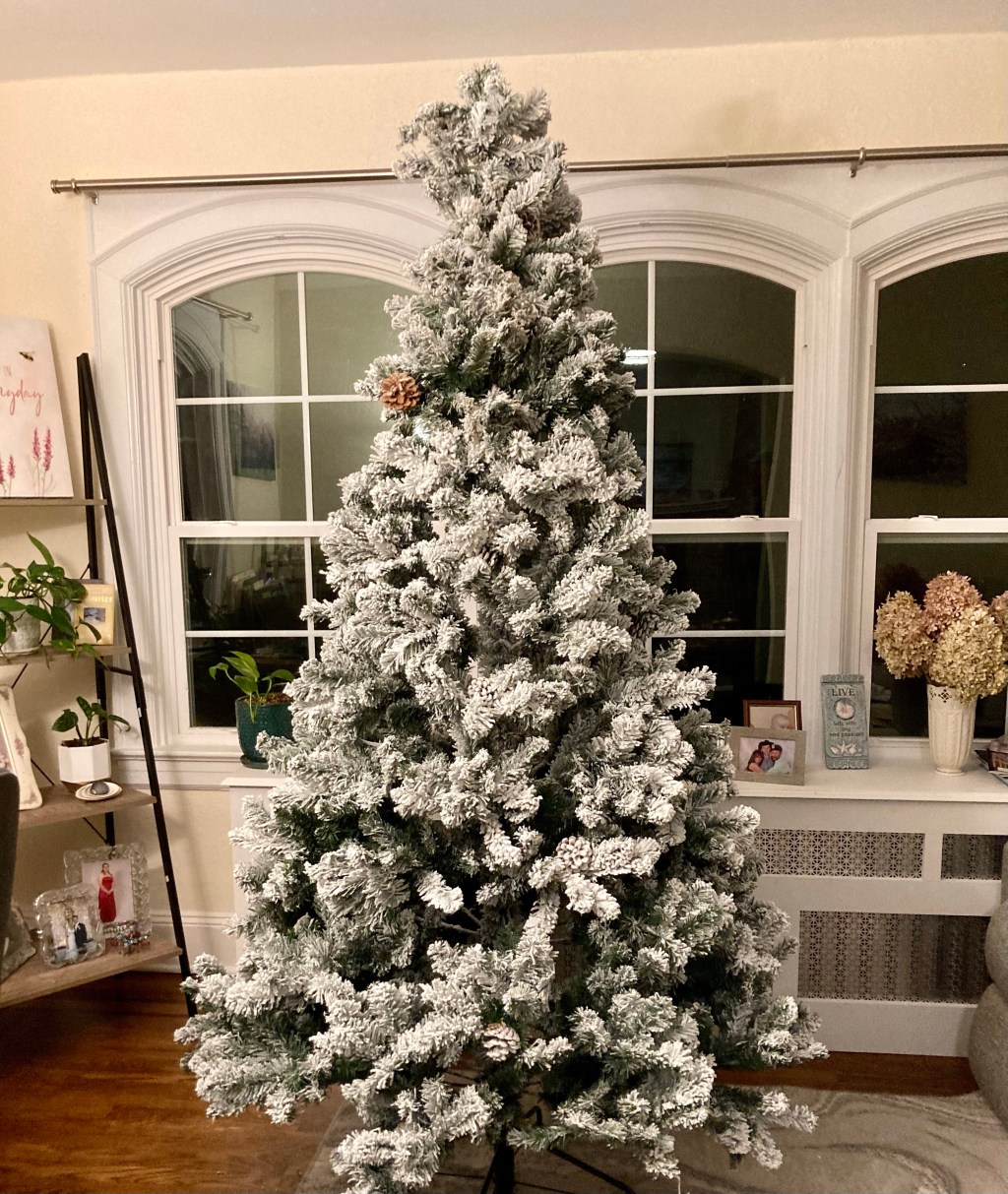 “It’s beginning to look…”