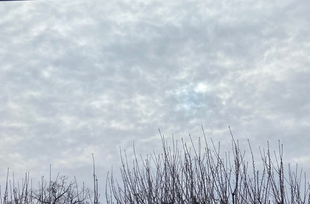 “while these clouds…” a #tanka&nbsp;(1/15/24)