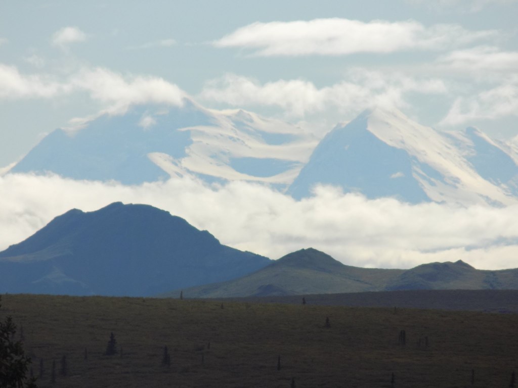 “ever daylight…” a #tanka&nbsp;(2/27/24)