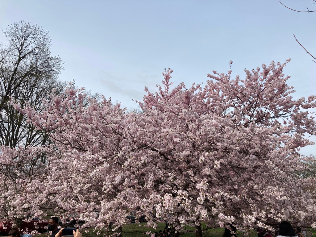 “…the greatest…” a #monoku&nbsp;(4/13/24)