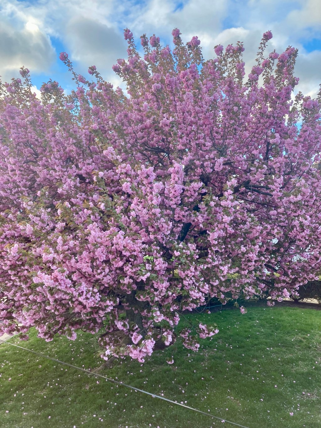 A farewell to Pretty in Pink